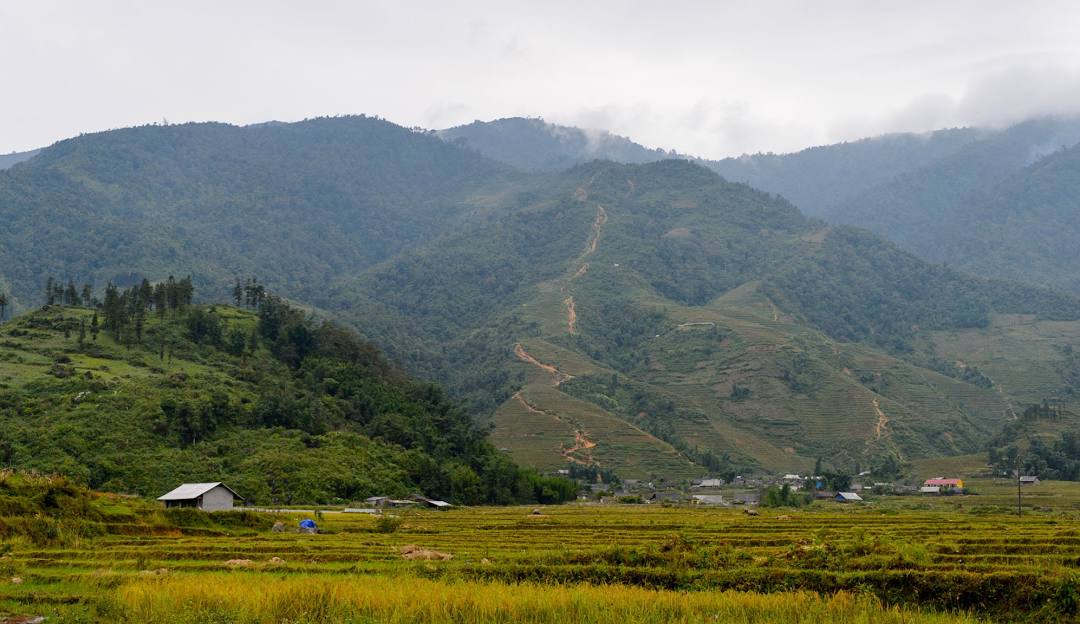 Half-Day Sapa Cultural Tour